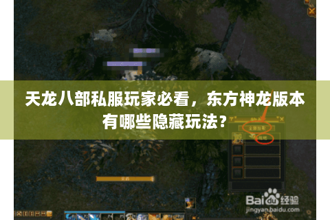 天龙八部私服玩家必看，东方神龙版本有哪些隐藏玩法？