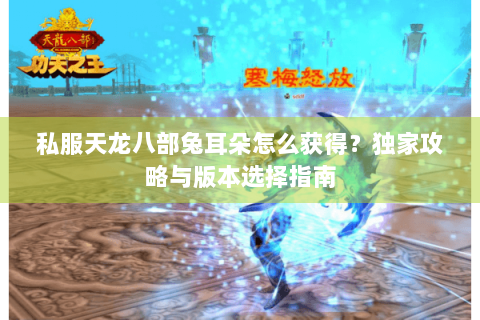 私服天龙八部兔耳朵怎么获得?独家攻略与版本选择指南 私服天龙八部兔耳朵怎么获得?独家攻略与版本选择指南