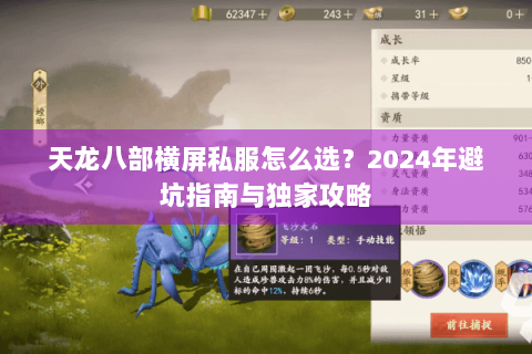 天龙八部横屏私服怎么选?2024年避坑指南与独家攻略 天龙八部横屏私服怎么选?2024年避坑指南与独家攻略