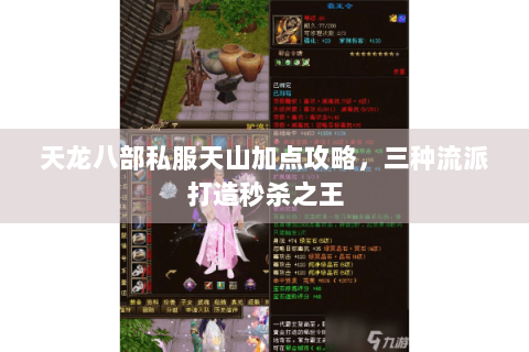 天龙八部私服天山加点攻略，三种流派打造秒杀之王