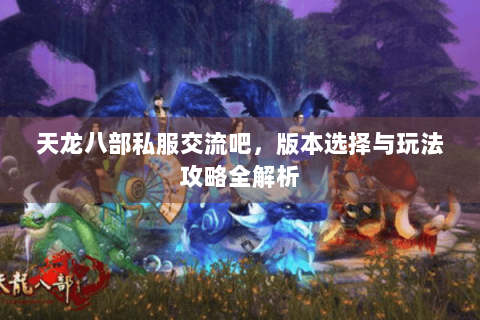 天龙八部私服交流吧，版本选择与玩法攻略全解析