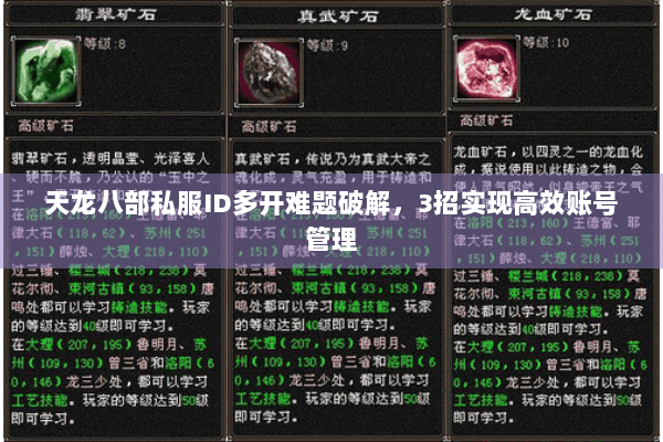 天龙八部私服ID多开难题破解，3招实现高效账号管理