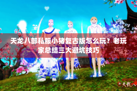 天龙八部私服小猪复古版怎么玩？老玩家总结三大避坑技巧