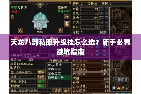 天龙八部私服升级挂怎么选?新手必看避坑指南 天龙八部私服升级挂怎么选?新手必看避坑指南