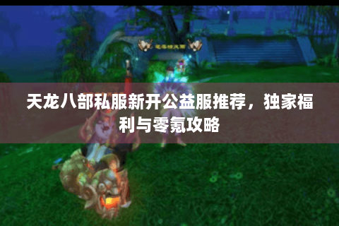 天龙八部私服新开公益服推荐，独家福利与零氪攻略