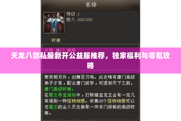 天龙八部私服新开公益服推荐，独家福利与零氪攻略