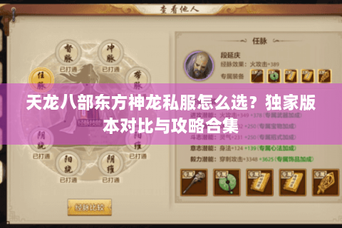 天龙八部东方神龙私服怎么选？独家版本对比与攻略合集