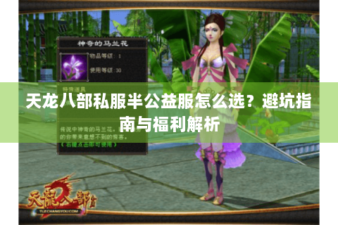 天龙八部私服半公益服怎么选？避坑指南与福利解析