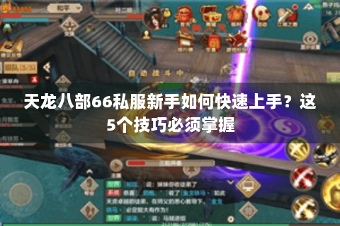 天龙八部66私服新手如何快速上手？这5个技巧必须掌握