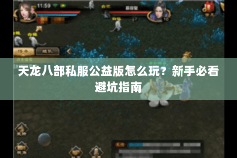 天龙八部私服公益版怎么玩？新手必看避坑指南