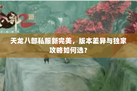 天龙八部私服新完美,版本差异与独家攻略如何选? 天龙八部私服新完美,版本差异与独家攻略如何选?