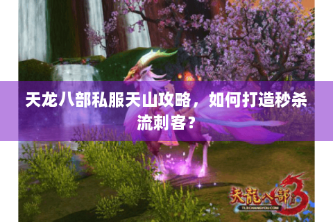 天龙八部私服天山攻略，如何打造秒杀流刺客？