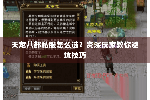 天龙八部私服怎么选?资深玩家教你避坑技巧 天龙八部私服怎么选?资深玩家教你避坑技巧