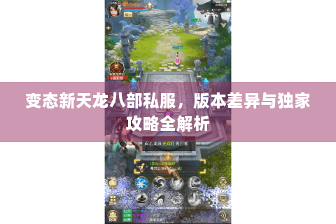 变态新天龙八部私服，版本差异与独家攻略全解析