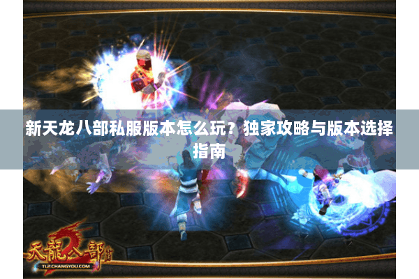 新天龙八部私服版本怎么玩?独家攻略与版本选择指南 新天龙八部私服版本怎么玩?独家攻略与版本选择指南