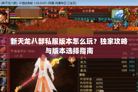 新天龙八部私服版本怎么玩?独家攻略与版本选择指南 新天龙八部私服版本怎么玩?独家攻略与版本选择指南