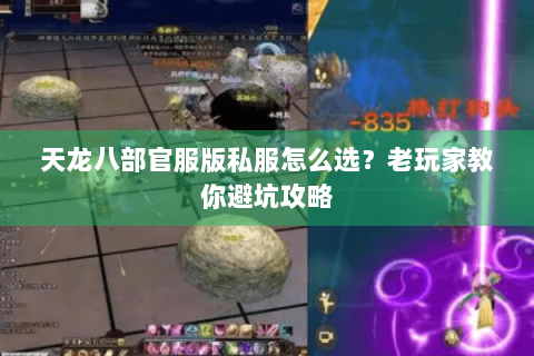 天龙八部官服版私服怎么选?老玩家教你避坑攻略 天龙八部官服版私服怎么选?老玩家教你避坑攻略