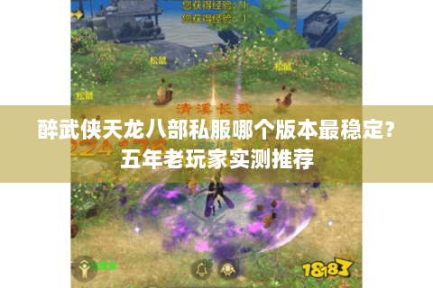 醉武侠天龙八部私服哪个版本最稳定？五年老玩家实测推荐