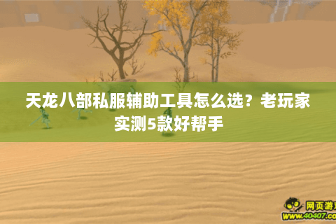 天龙八部私服辅助工具怎么选?老玩家实测5款好帮手 天龙八部私服辅助工具怎么选?老玩家实测5款好帮手