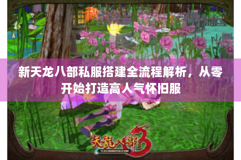 新天龙八部私服搭建全流程解析，从零开始打造高人气怀旧服
