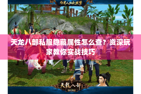 天龙八部私服隐藏属性怎么查？资深玩家教你实战技巧