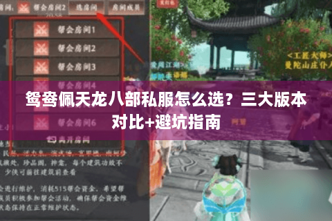 鸳鸯佩天龙八部私服怎么选?三大版本对比+避坑指南 鸳鸯佩天龙八部私服怎么选?三大版本对比+避坑指南