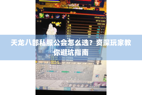 天龙八部私服公会怎么选？资深玩家教你避坑指南