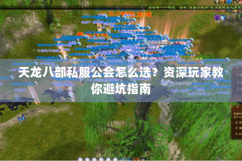 天龙八部私服公会怎么选？资深玩家教你避坑指南