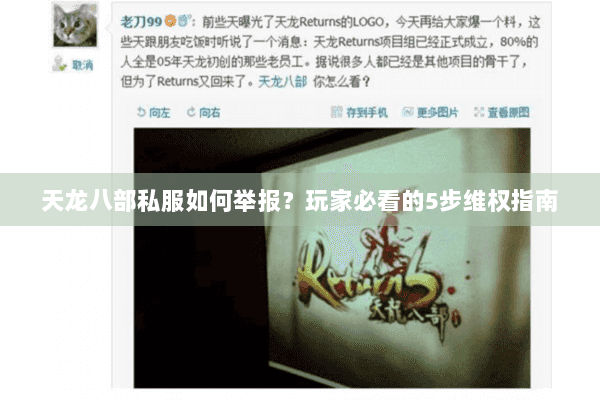 天龙八部私服如何举报?玩家必看的5步维权指南 天龙八部私服如何举报?玩家必看的5步维权指南