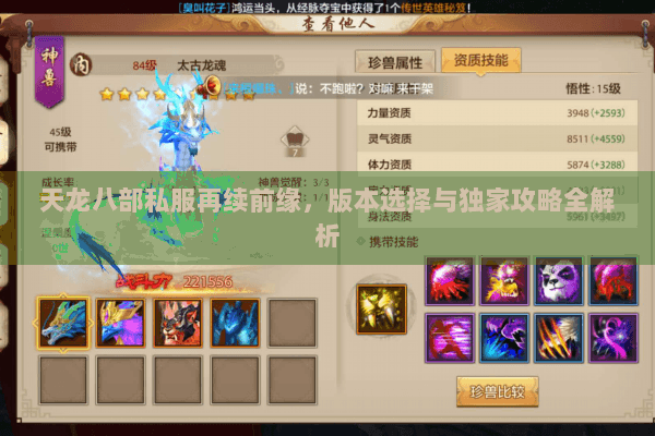 天龙八部私服再续前缘，版本选择与独家攻略全解析