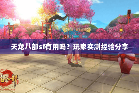 天龙八部sf有用吗？玩家实测经验分享