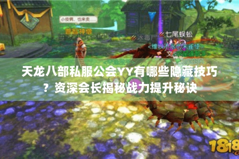 天龙八部私服公会YY有哪些隐藏技巧？资深会长揭秘战力提升秘诀