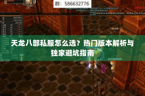天龙八部私服怎么选?热门版本解析与独家避坑指南 天龙八部私服怎么选?热门版本解析与独家避坑指南