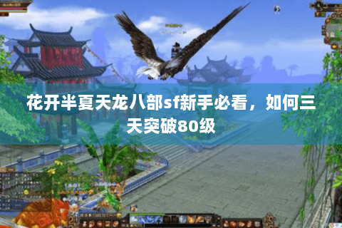 花开半夏天龙八部sf新手必看,如何三天突破80级 花开半夏天龙八部sf新手必看,如何三天突破80级