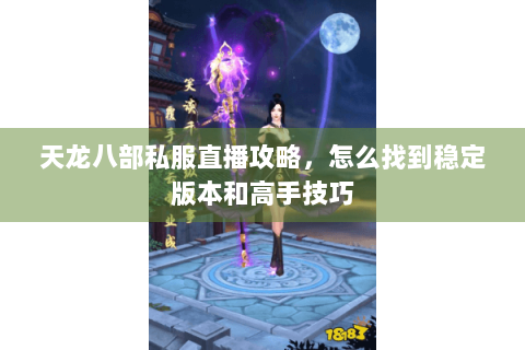 天龙八部私服直播攻略，怎么找到稳定版本和高手技巧