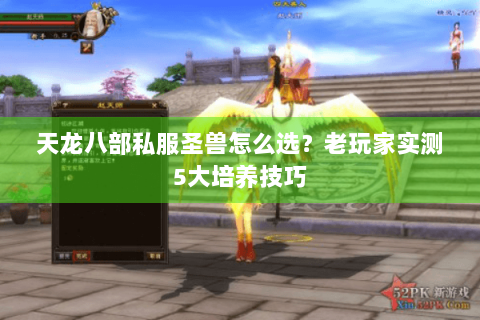 天龙八部私服圣兽怎么选?老玩家实测5大培养技巧 天龙八部私服圣兽怎么选?老玩家实测5大培养技巧