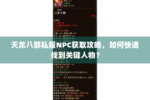 天龙八部私服NPC获取攻略，如何快速找到关键人物？
