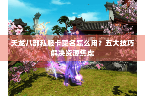 天龙八部私服卡菜名怎么用？五大技巧解决资源焦虑