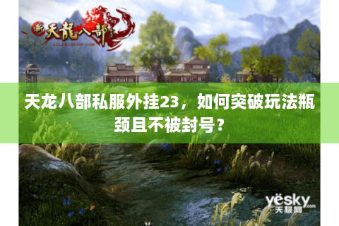 天龙八部私服外挂23，如何突破玩法瓶颈且不被封号？