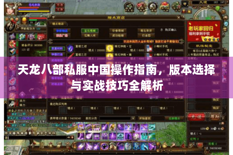 天龙八部私服中国操作指南，版本选择与实战技巧全解析