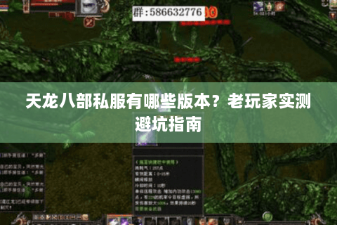 天龙八部私服有哪些版本？老玩家实测避坑指南