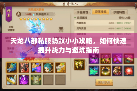 天龙八部私服蚂蚁小小攻略,如何快速提升战力与避坑指南 天龙八部私服蚂蚁小小攻略,如何快速提升战力与避坑指南