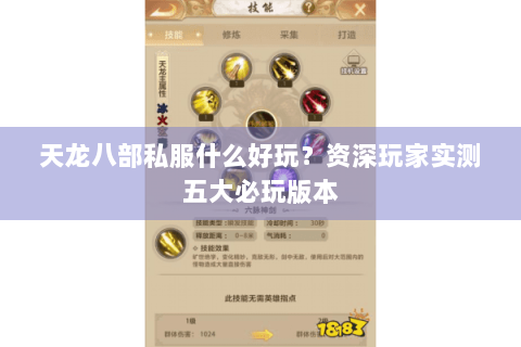 天龙八部私服什么好玩?资深玩家实测五大必玩版本 天龙八部私服什么好玩?资深玩家实测五大必玩版本