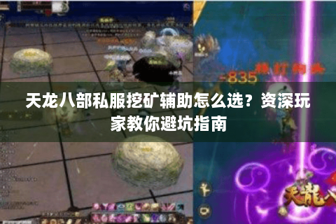 天龙八部私服挖矿辅助怎么选？资深玩家教你避坑指南