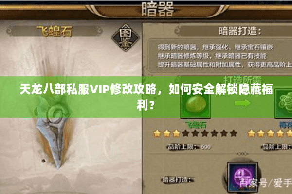 天龙八部私服VIP修改攻略，如何安全解锁隐藏福利？