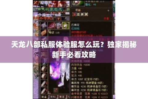 天龙八部私服体验服怎么玩？独家揭秘新手必看攻略