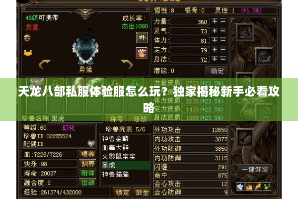 天龙八部私服体验服怎么玩?独家揭秘新手必看攻略 天龙八部私服体验服怎么玩?独家揭秘新手必看攻略