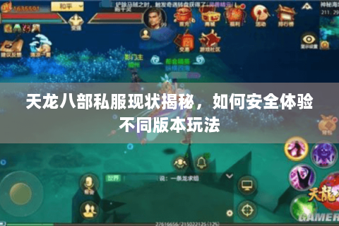 天龙八部私服现状揭秘,如何安全体验不同版本玩法 天龙八部私服现状揭秘,如何安全体验不同版本玩法