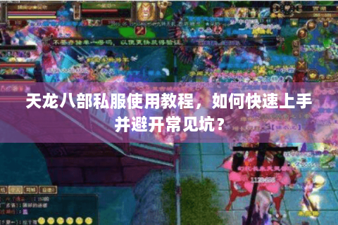 天龙八部私服使用教程，如何快速上手并避开常见坑？