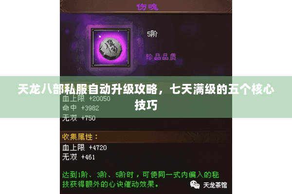 天龙八部私服自动升级攻略,七天满级的五个核心技巧 天龙八部私服自动升级攻略,七天满级的五个核心技巧
